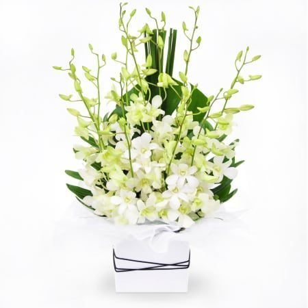 white-orchids-basket