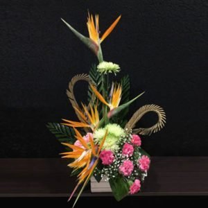 Tropical Glory - BOP Chrysanthemum & Carnations
