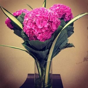 pink hydrangea vase